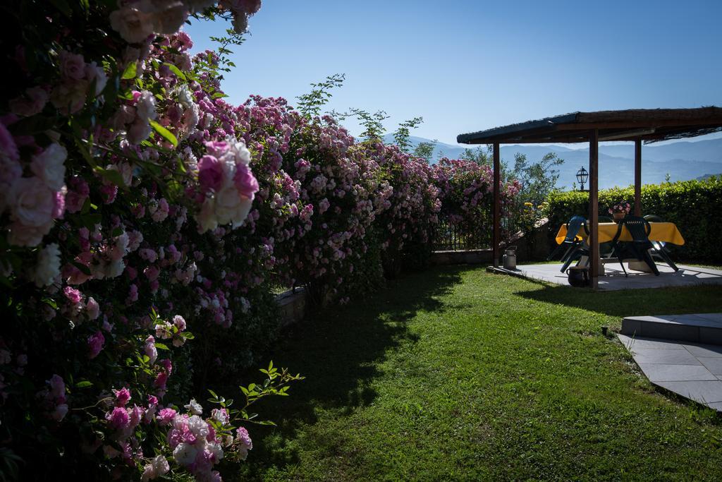 Agriturismo Vita Nova Vicchio Oda fotoğraf