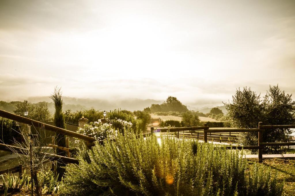 Agriturismo Vita Nova Vicchio Dış mekan fotoğraf